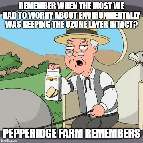 Pepperidge Farm Remembers | REMEMBER WHEN THE MOST WE HAD TO WORRY ABOUT ENVIRONMENTALLY WAS KEEPING THE OZONE LAYER INTACT? PEPPERIDGE FARM REMEMBERS | image tagged in memes,pepperidge farm remembers | made w/ Imgflip meme maker