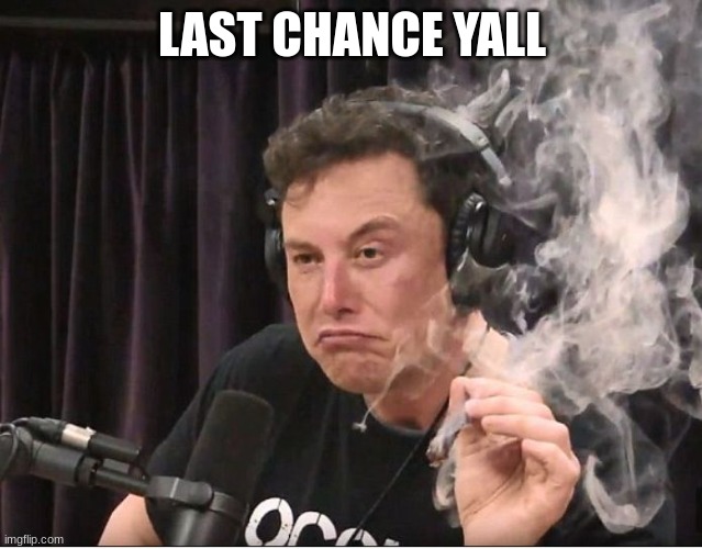 Elon Musk smoking a joint | LAST CHANCE YALL | image tagged in elon musk smoking a joint | made w/ Imgflip meme maker