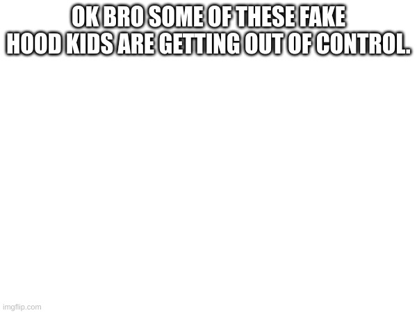 m | OK BRO SOME OF THESE FAKE HOOD KIDS ARE GETTING OUT OF CONTROL. | image tagged in m | made w/ Imgflip meme maker