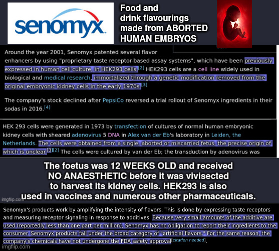 Senomyx | Food and drink flavourings made from ABORTED HUMAN EMBRYOS | image tagged in cannibalism,food production,flavourings,foetal cells | made w/ Imgflip meme maker