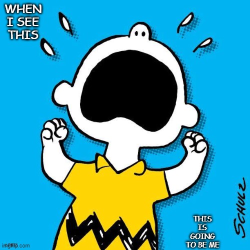 Charlie Brown (Peanuts) | WHEN I SEE THIS THIS IS GOING TO BE ME | image tagged in charlie brown peanuts | made w/ Imgflip meme maker