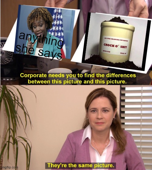 They're The Same Picture | anything she says | image tagged in memes,they're the same picture | made w/ Imgflip meme maker