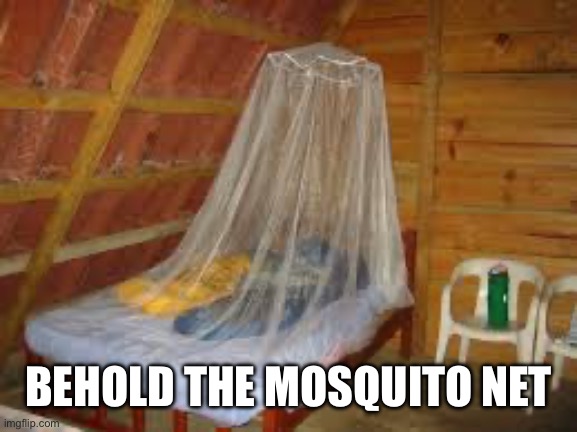 BEHOLD THE MOSQUITO NET | made w/ Imgflip meme maker