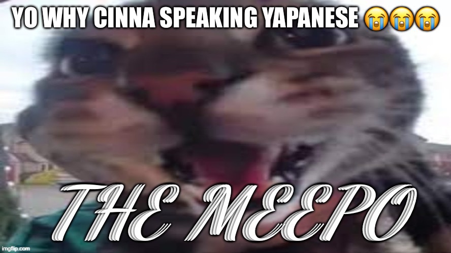 the meepo | YO WHY CINNA SPEAKING YAPANESE 😭😭😭 | image tagged in the meepo | made w/ Imgflip meme maker