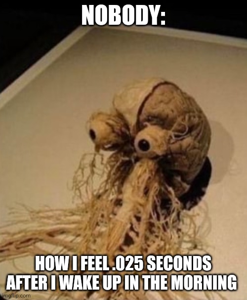 I just woke up | NOBODY:; HOW I FEEL .025 SECONDS AFTER I WAKE UP IN THE MORNING | image tagged in the nervous system,jpfan102504,relatable | made w/ Imgflip meme maker