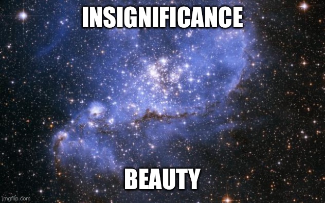 The Universe | INSIGNIFICANCE; BEAUTY | image tagged in the universe | made w/ Imgflip meme maker