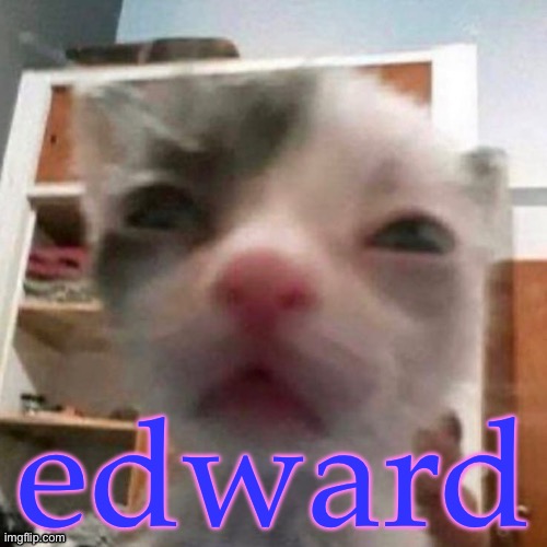 edward | made w/ Imgflip meme maker