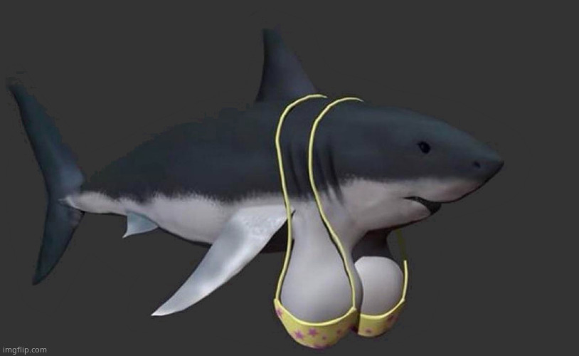 shark with tits | image tagged in shark with tits | made w/ Imgflip meme maker