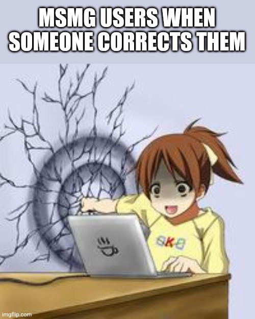 Anime wall punch | MSMG USERS WHEN SOMEONE CORRECTS THEM | image tagged in anime wall punch | made w/ Imgflip meme maker