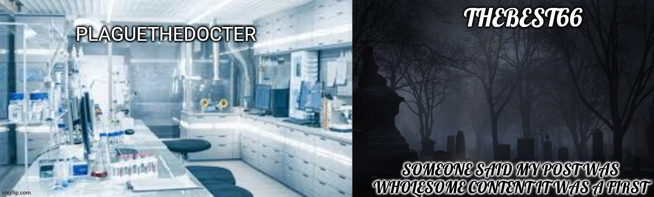 Plaguethedocter and Thebest66 | SOMEONE SAID MY POST WAS WHOLESOME CONTENT IT WAS A FIRST | image tagged in plaguethedocter and thebest66 | made w/ Imgflip meme maker