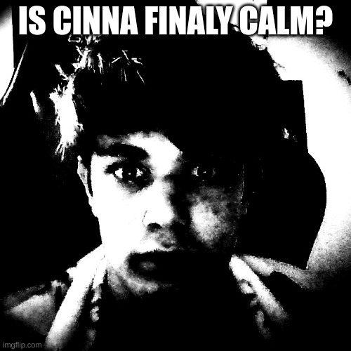 i ws doing hw | IS CINNA FINALY CALM? | image tagged in scary riplos | made w/ Imgflip meme maker