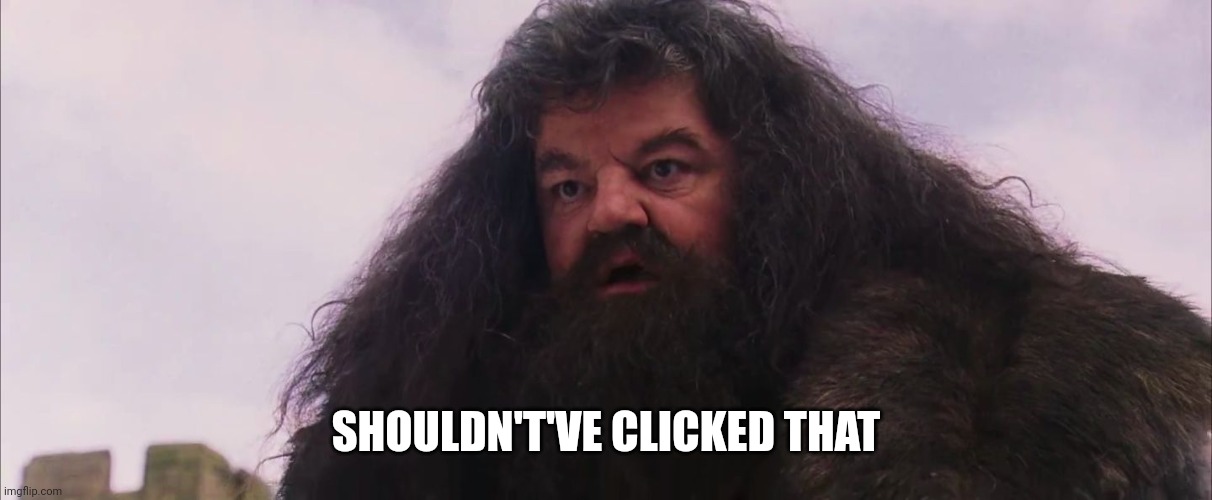 Hagrid I Shouldn't Have Said That | SHOULDN'T'VE CLICKED THAT | image tagged in hagrid i shouldn't have said that | made w/ Imgflip meme maker