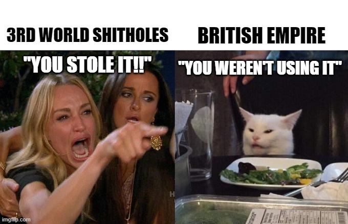 British Empire Looting | 3RD WORLD SHITHOLES; BRITISH EMPIRE; "YOU STOLE IT!!"; "YOU WEREN'T USING IT" | image tagged in memes,woman yelling at cat | made w/ Imgflip meme maker