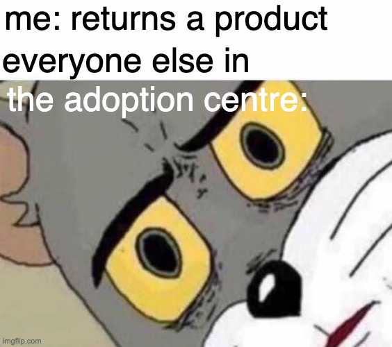 when ur sun get da B | me: returns a product; everyone else in; the adoption centre: | image tagged in tom cat unsettled close up | made w/ Imgflip meme maker