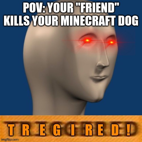 Meme man T r e g i r e d ! | POV: YOUR "FRIEND" KILLS YOUR MINECRAFT DOG | image tagged in meme man t r e g i r e d | made w/ Imgflip meme maker