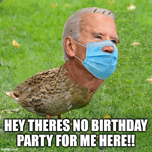 Liars | HEY THERES NO BIRTHDAY PARTY FOR ME HERE!! | image tagged in joe bidenduck | made w/ Imgflip meme maker