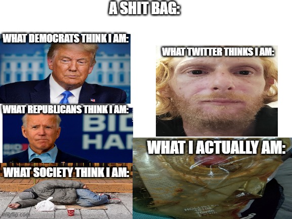 bags and bags | A SHIT BAG:; WHAT DEMOCRATS THINK I AM:; WHAT TWITTER THINKS I AM:; WHAT REPUBLICANS THINK I AM:; WHAT I ACTUALLY AM:; WHAT SOCIETY THINK I AM: | image tagged in blank white template | made w/ Imgflip meme maker