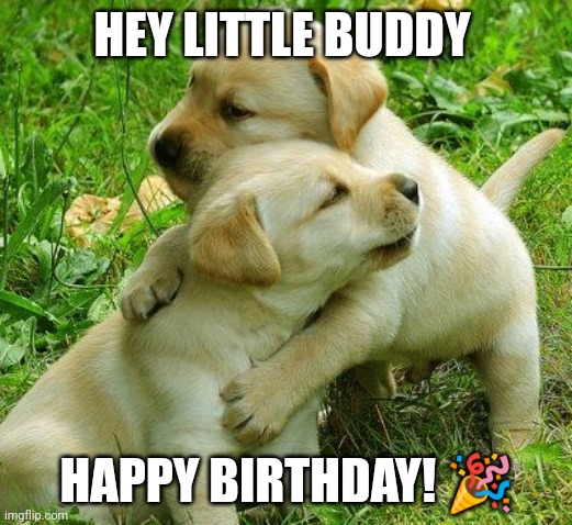 Hey Little Buddy | HEY LITTLE BUDDY; HAPPY BIRTHDAY! 🎉 | image tagged in puppy i love bro,funny memes | made w/ Imgflip meme maker
