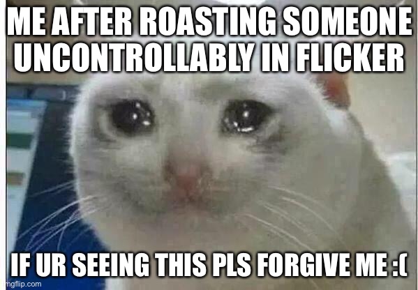 crying cat | ME AFTER ROASTING SOMEONE UNCONTROLLABLY IN FLICKER; IF UR SEEING THIS PLS FORGIVE ME :( | image tagged in crying cat | made w/ Imgflip meme maker