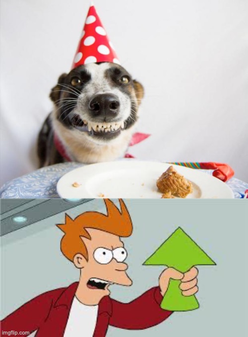 bday DAWGGGG | image tagged in birthday dog,shut up and take my upvote | made w/ Imgflip meme maker