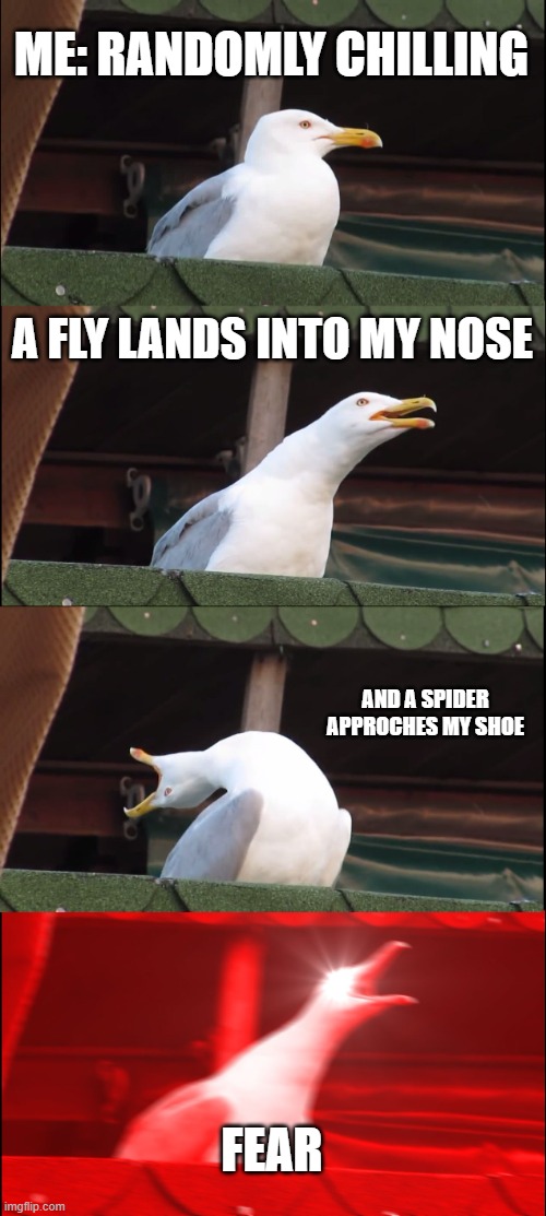 ah yes spiders are my fear | ME: RANDOMLY CHILLING; A FLY LANDS INTO MY NOSE; AND A SPIDER APPROCHES MY SHOE; FEAR | image tagged in memes,inhaling seagull,fun | made w/ Imgflip meme maker