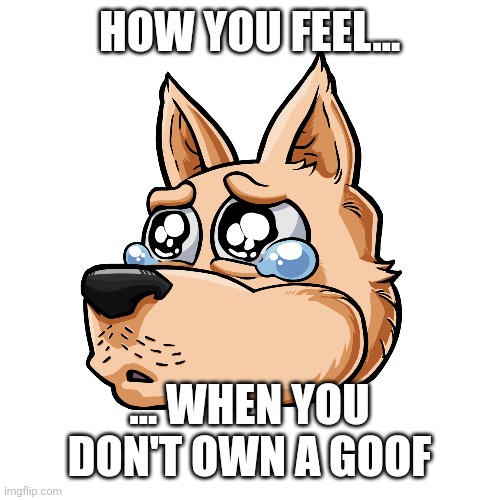 Sad Goof | HOW YOU FEEL... ... WHEN YOU DON'T OWN A GOOF | image tagged in memes | made w/ Imgflip meme maker