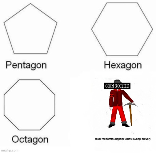 Shitpost.(Censored his Face Because why Not?) | YourFreedomtoSupportFurriesIsGon(Forever) | image tagged in memes,pentagon hexagon octagon | made w/ Imgflip meme maker