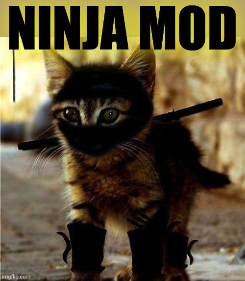 Ninja Cat | NINJA MOD | image tagged in ninja cat | made w/ Imgflip meme maker