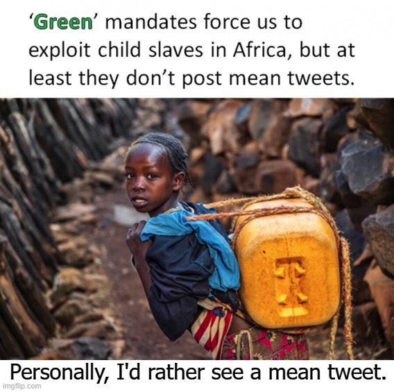 Liberal Hypocrisy: Personally, I'd rather see a mean tweet. | image tagged in liberal hypocrisy,mean tweets,green mandates,child exploitation,child abuse,slavery | made w/ Imgflip meme maker