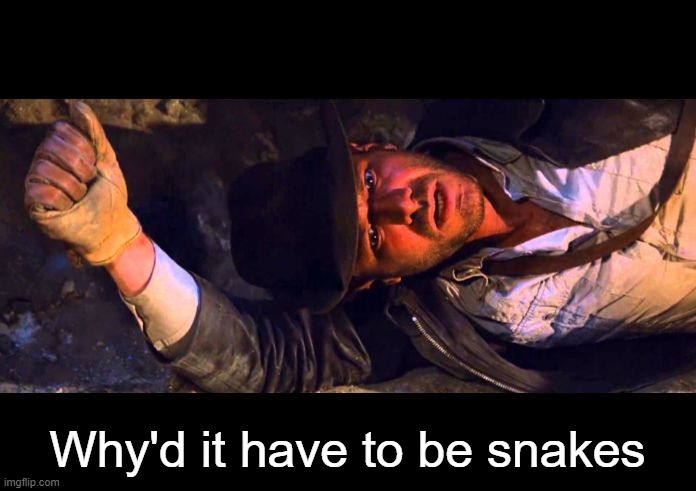 Indiana Jones Why'd It Have to be Snakes | Why'd it have to be snakes | image tagged in indiana jones why'd it have to be snakes | made w/ Imgflip meme maker