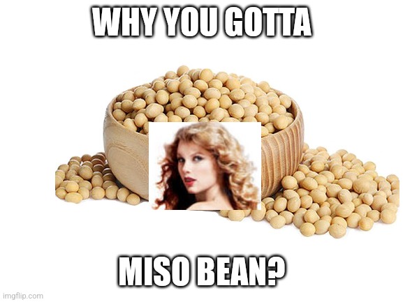 Blank White Template | WHY YOU GOTTA; MISO BEAN? | image tagged in blank white template | made w/ Imgflip meme maker