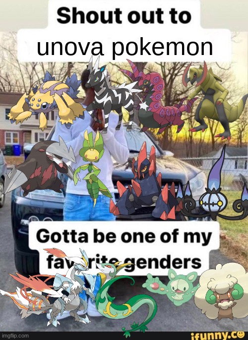 gotta be one of my favorite genders | unova pokemon | image tagged in gotta be one of my favorite genders | made w/ Imgflip meme maker
