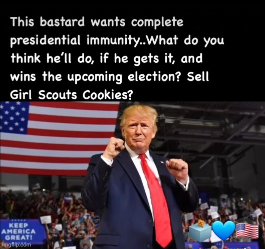 Dictator trump | image tagged in dump trump,criminal,rapist,justice | made w/ Imgflip meme maker