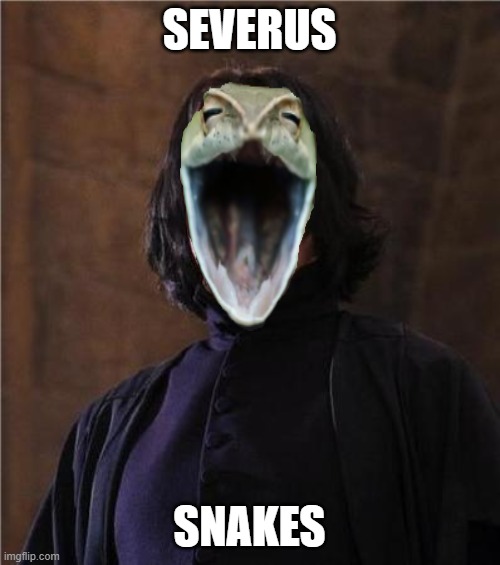 snape | SEVERUS SNAKES | image tagged in snape | made w/ Imgflip meme maker