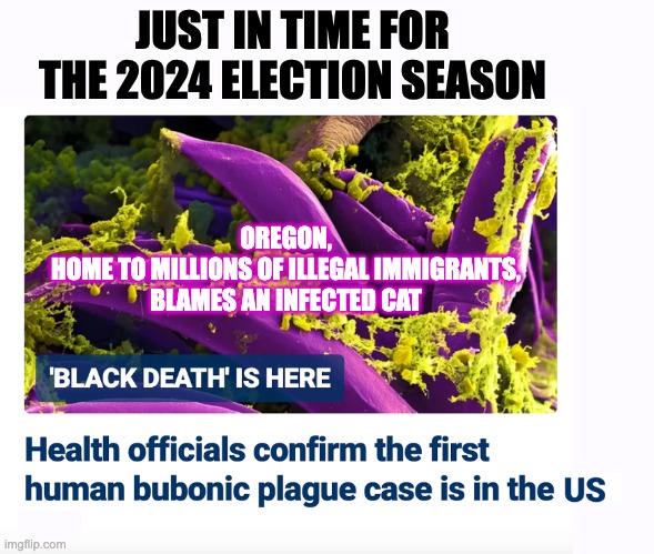 And Away We Go!  First it was a bat; now it's a cat. | JUST IN TIME FOR THE 2024 ELECTION SEASON; OREGON,
HOME TO MILLIONS OF ILLEGAL IMMIGRANTS,
BLAMES AN INFECTED CAT | image tagged in plague,covid | made w/ Imgflip meme maker