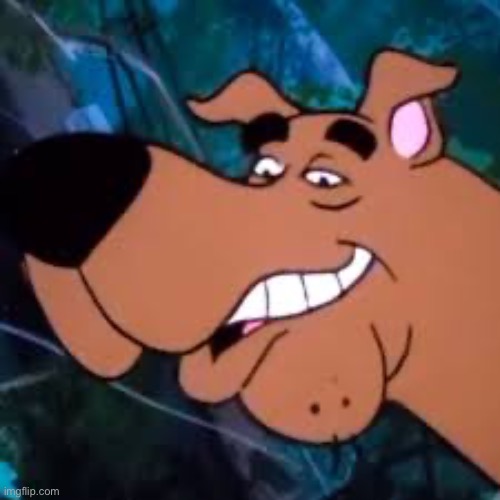 Scoo | image tagged in scoo,scooby doo | made w/ Imgflip meme maker