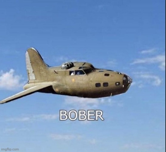 Bober, Pest of the Skies, The Mercenary Hired By Tonk | made w/ Imgflip meme maker
