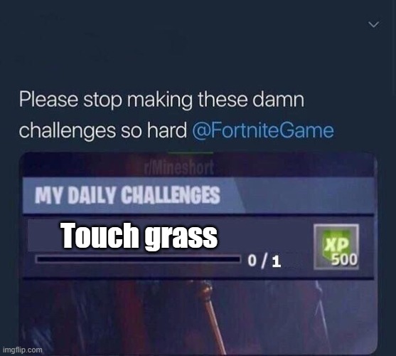 . | Touch grass | image tagged in fortnite challenge | made w/ Imgflip meme maker