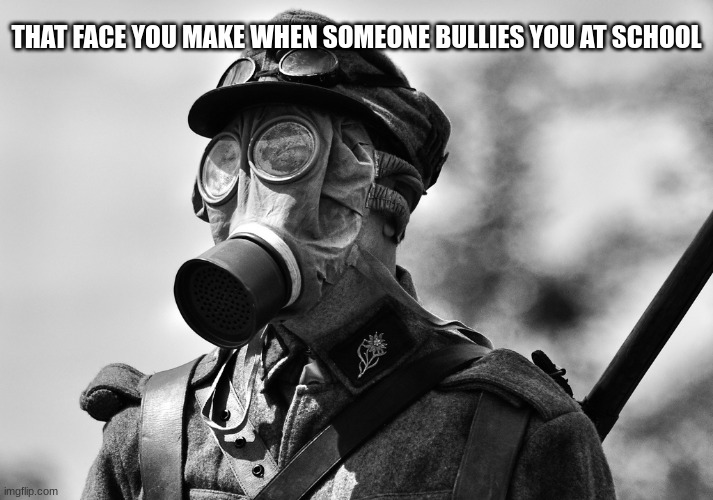 Don't Worry About the Face. Worry About the War Attire | THAT FACE YOU MAKE WHEN SOMEONE BULLIES YOU AT SCHOOL | image tagged in ww1 gas mask | made w/ Imgflip meme maker