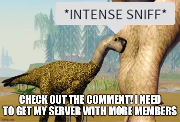 Intense sniff | CHECK OUT THE COMMENT! I NEED TO GET MY SERVER WITH MORE MEMBERS | image tagged in intense sniff | made w/ Imgflip meme maker