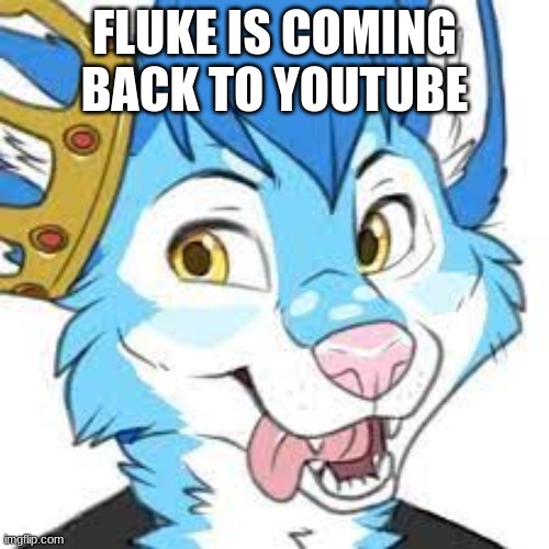 YAYY(crystal wolf) (https://twitter.com/FlukeHusky/status/1257774237936308224) (took some reverse image searching to get this) | FLUKE IS COMING BACK TO YOUTUBE | made w/ Imgflip meme maker