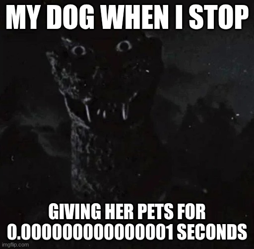 MY DOG WHEN I STOP; GIVING HER PETS FOR 0.000000000000001 SECONDS | made w/ Imgflip meme maker