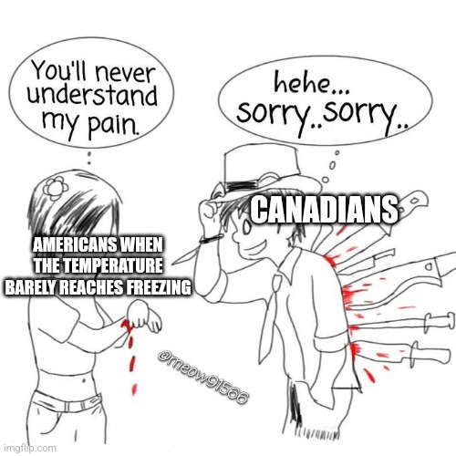 You'll never understand my pain | CANADIANS; AMERICANS WHEN THE TEMPERATURE BARELY REACHES FREEZING | image tagged in you'll never understand my pain,temperature,america,canada | made w/ Imgflip meme maker