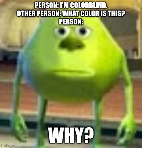 Colorblind | PERSON: I'M COLORBLIND.
OTHER PERSON: WHAT COLOR IS THIS?
PERSON:; WHY? | image tagged in sully wazowski | made w/ Imgflip meme maker