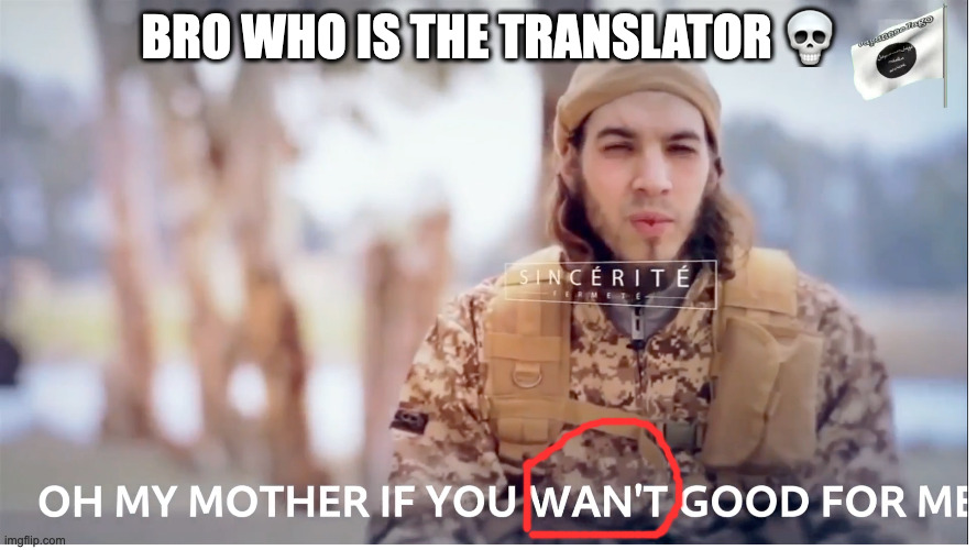"Wan't" lmao | BRO WHO IS THE TRANSLATOR 💀 | made w/ Imgflip meme maker