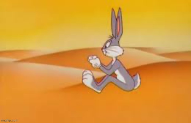 Defying laws of physics | image tagged in looney tunes | made w/ Imgflip meme maker