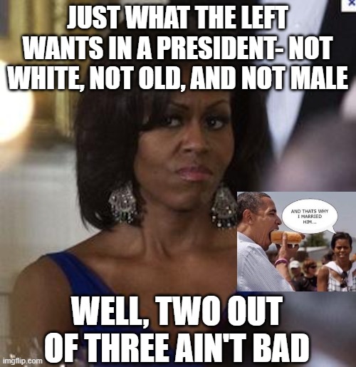 Meat Loaf would agree | JUST WHAT THE LEFT WANTS IN A PRESIDENT- NOT WHITE, NOT OLD, AND NOT MALE; WELL, TWO OUT OF THREE AIN'T BAD | image tagged in michelle obama side eye | made w/ Imgflip meme maker