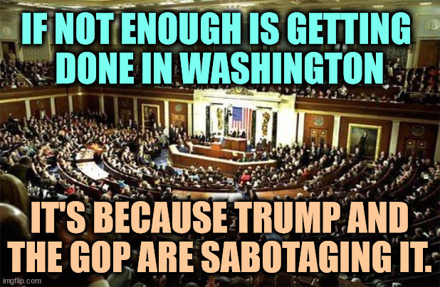 Republicans don't want government to work. That's your tax money being p*ssed away for political games. | IF NOT ENOUGH IS GETTING 
DONE IN WASHINGTON; IT'S BECAUSE TRUMP AND THE GOP ARE SABOTAGING IT. | image tagged in congress | made w/ Imgflip meme maker