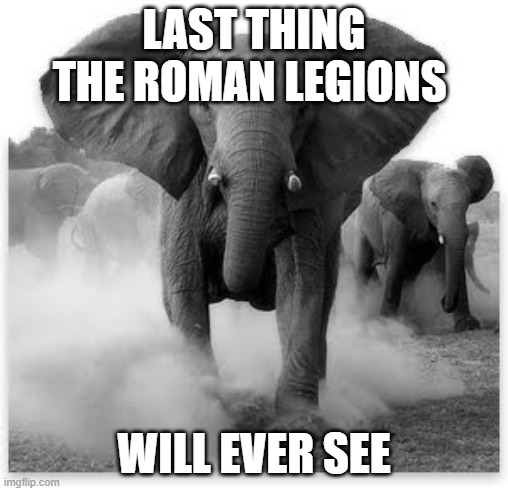 From Hannibal | LAST THING THE ROMAN LEGIONS WILL EVER SEE | image tagged in charging elephant | made w/ Imgflip meme maker