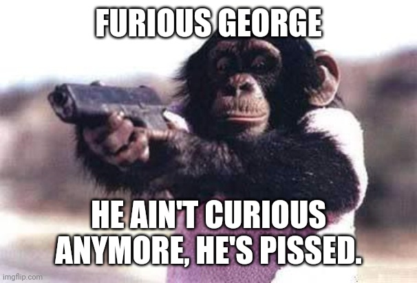 monkey gun | FURIOUS GEORGE HE AIN'T CURIOUS ANYMORE, HE'S PISSED. | image tagged in monkey gun | made w/ Imgflip meme maker